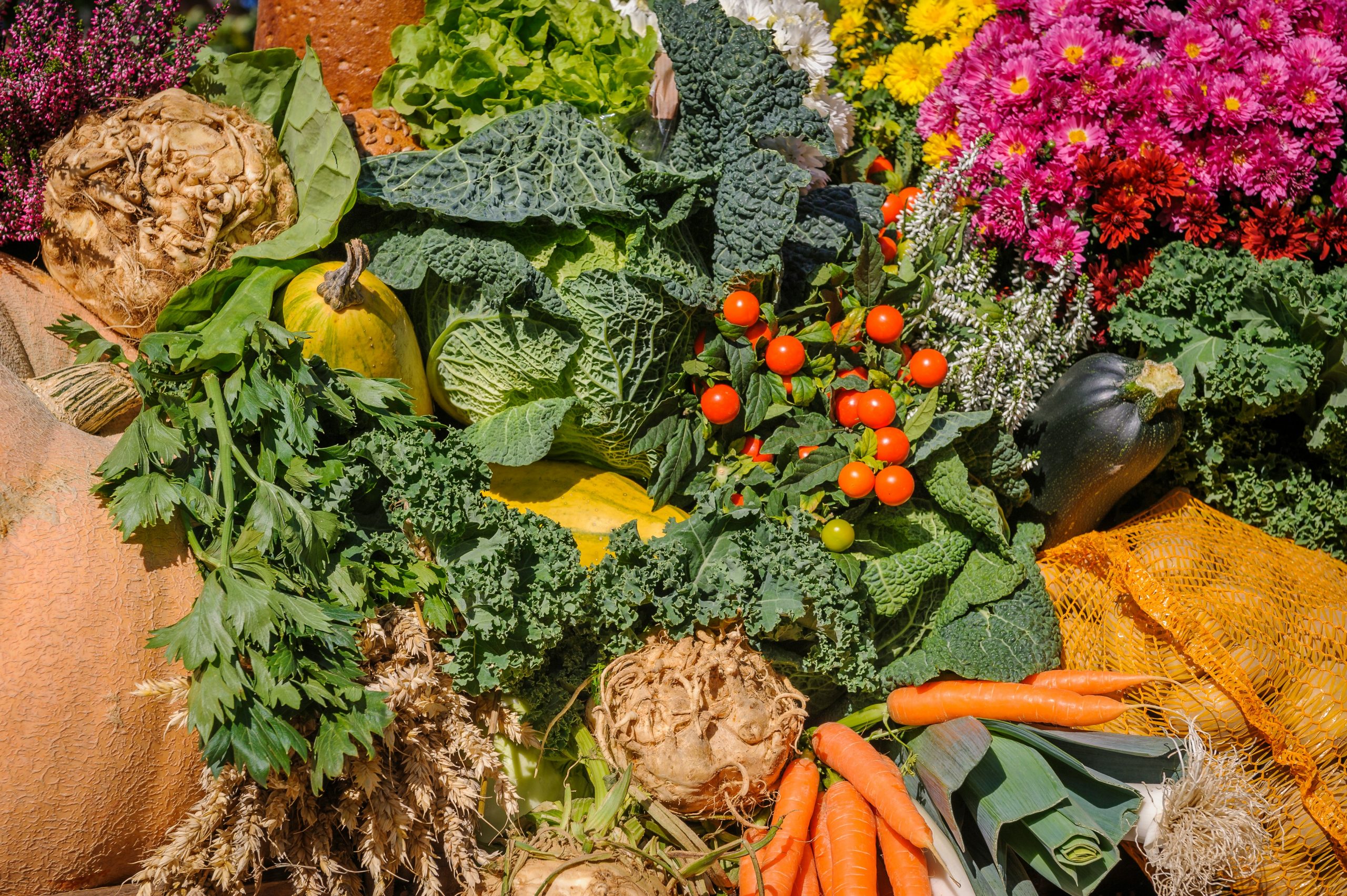 GALfarms alexander schimmeck 6bykmlxy 3y unsplash
